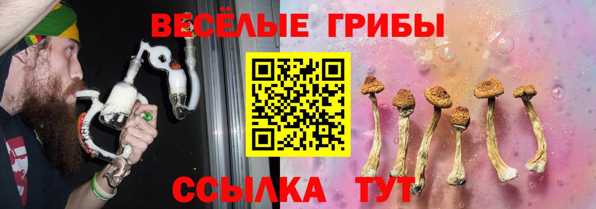 Чебоксары  закладки  Вход с VPN  Галлюциногенные грибы Psilocybe 